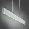 Leuchten-Direkt LOLASMART-NILA Pendant Light LED aluminium, 2-light sources, Remote control, Colour changer