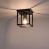 Leuchten-Direkt FABIO Ceiling Light brass, black, 1-light source