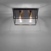 Leuchten-Direkt FABIO Ceiling Light brass, black, 4-light sources