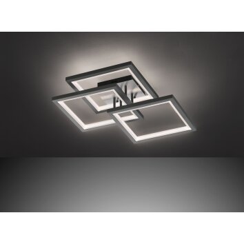 Wofi-Leuchten MURIEL Ceiling Light LED grey, 1-light source