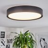 NEXO Ceiling Light LED black, 1-light source
