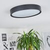 NEXO Ceiling Light LED black, 1-light source