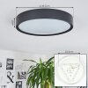 NEXO Ceiling Light LED black, 1-light source