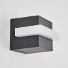 LISALARA Outdoor Wall Light LED anthracite, white, 1-light source