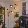 BARDHAMAN Floor Lamp black, 5-light sources