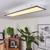 SALMI Ceiling Light LED black, white, 1-light source
