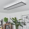 SALMI Ceiling Light LED black, white, 1-light source