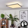 SALMI Ceiling Light LED black, white, 2-light sources