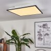 SALMI Ceiling Light LED black, white, 2-light sources