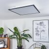 SALMI Ceiling Light LED black, white, 2-light sources