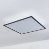 SALMI Ceiling Light LED black, white, 2-light sources