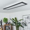 GAILINGE Ceiling Light LED white, 1-light source