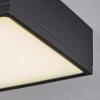 NETSTAL Ceiling Light LED anthracite, 1-light source