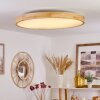 BAGAHA Ceiling Light LED brown, Wood like finish, 1-light source, Remote control
