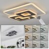 TRAPANI Ceiling Light LED white, 1-light source, Remote control