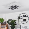 TRAPANI Ceiling Light LED white, 1-light source, Remote control