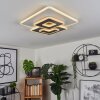 TRAPANI Ceiling Light LED white, 1-light source, Remote control