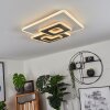 TRAPANI Ceiling Light LED white, 1-light source, Remote control