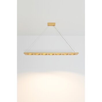 Holländer TENACIA Pendant Light LED gold, 7-light sources