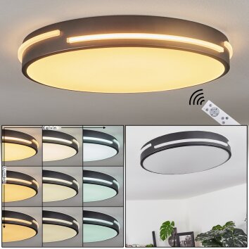 SEEWEN Ceiling Light LED black, white, 1-light source, Remote control