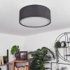 TVEID Ceiling Light matt nickel, 2-light sources