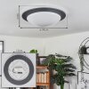 WIL Ceiling Light LED anthracite, white, 1-light source