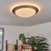 WIL Ceiling Light LED anthracite, white, 1-light source