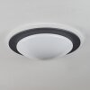 WIL Ceiling Light LED anthracite, white, 1-light source