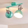 DOMPIERRE Ceiling light green, white, 2-light sources