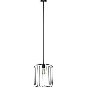 Brilliant FLAVIAN pendant light black, 1-light source
