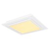 Globo MURPHY Ceiling Light LED white, 1-light source, Remote control, Colour changer