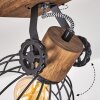 ORNY Ceiling Light Dark wood, black, 2-light sources
