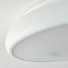 RHONE Ceiling Light LED white, 1-light source, Colour changer