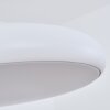 RHONE Pendant Light LED white, 1-light source, Colour changer