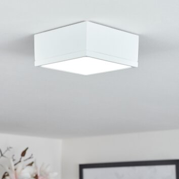 NETSTAL Ceiling Light LED white, 1-light source