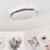 ALTDORF Ceiling Light LED white, 1-light source
