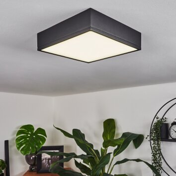 NETSTAL Ceiling Light LED black, 1-light source