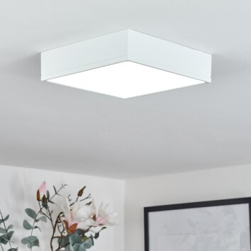 NETSTAL Ceiling Light LED white, 1-light source