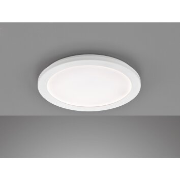 Fischer-Honsel GOTLAND Ceiling Light LED white, 1-light source