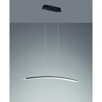 Fischer-Honsel METIS Pendant Light LED black, 1-light source