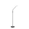 Fischer-Honsel DENT Floor Lamp LED black, 1-light source
