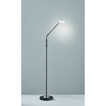 Fischer-Honsel DENT Floor Lamp LED black, 1-light source