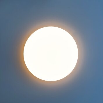 Fischer-Honsel MONA Ceiling Light LED white, 1-light source