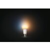 Philips Hue WHITE AMBIANCE LED E27 8 Watt 2200 - 6500 Kelvin 806 Lumen