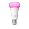 Philips Hue WHITE & COLOR AMBIANCE LED E27 15 Watt 2200 - 6500 Kelvin 1200 Lumen