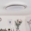 SAPIORIS Ceiling Light LED silver, 1-light source