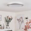 SAPIORIS Ceiling Light LED silver, 1-light source
