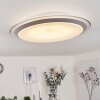 SAPIORIS Ceiling Light LED silver, 1-light source