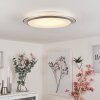 SAPIORIS Ceiling Light LED silver, 1-light source