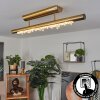 RODECHE Ceiling Light LED brass, 1-light source